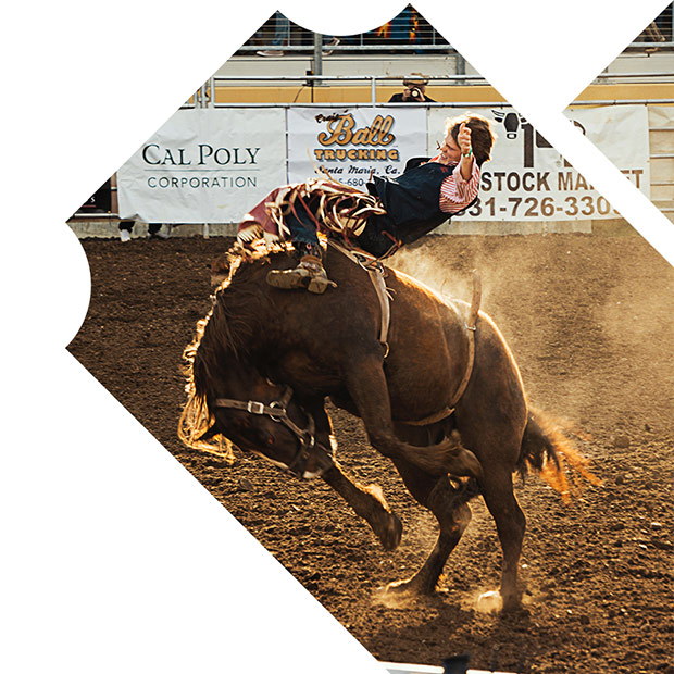 PBR Teams: Stampede Days - 3 Day Pass - T4C-sports-rodeo