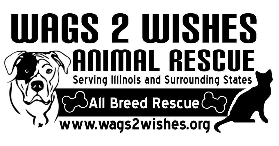 Wags 2 Wishes
